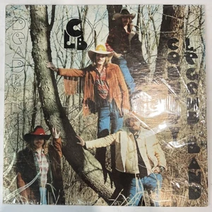 Country Legend Band - Deadlines Lp Blue Ash rare Ohio Country Folk Rock  - Picture 1 of 3
