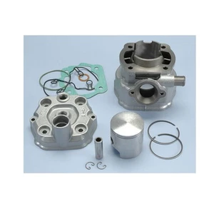 KIT POLINI 109.0013 DERBI SENDA,GPR H2O D.50 CIL.IN GHISA (EURO 2) - Imagen 1 de 1