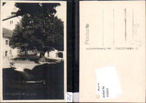 732833 Foto AK Millstatt a. See 500jährige Linde Baum Vegetation pub Helff 6160 - Picture 1 of 1