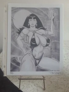 Rare Lee Rumiko Signed Anime Vampirella Art Print #18 Of 25 - Picture 1 of 2