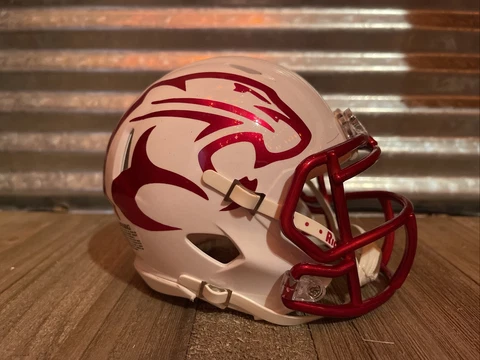 Custom Houston Cougars Chrome Speed Mini Helmet Cover