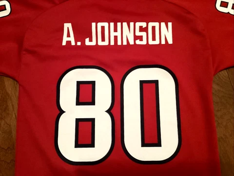 Andre Johnson Houston Texans #80 Jersey Size Youth Small (8) Cover
