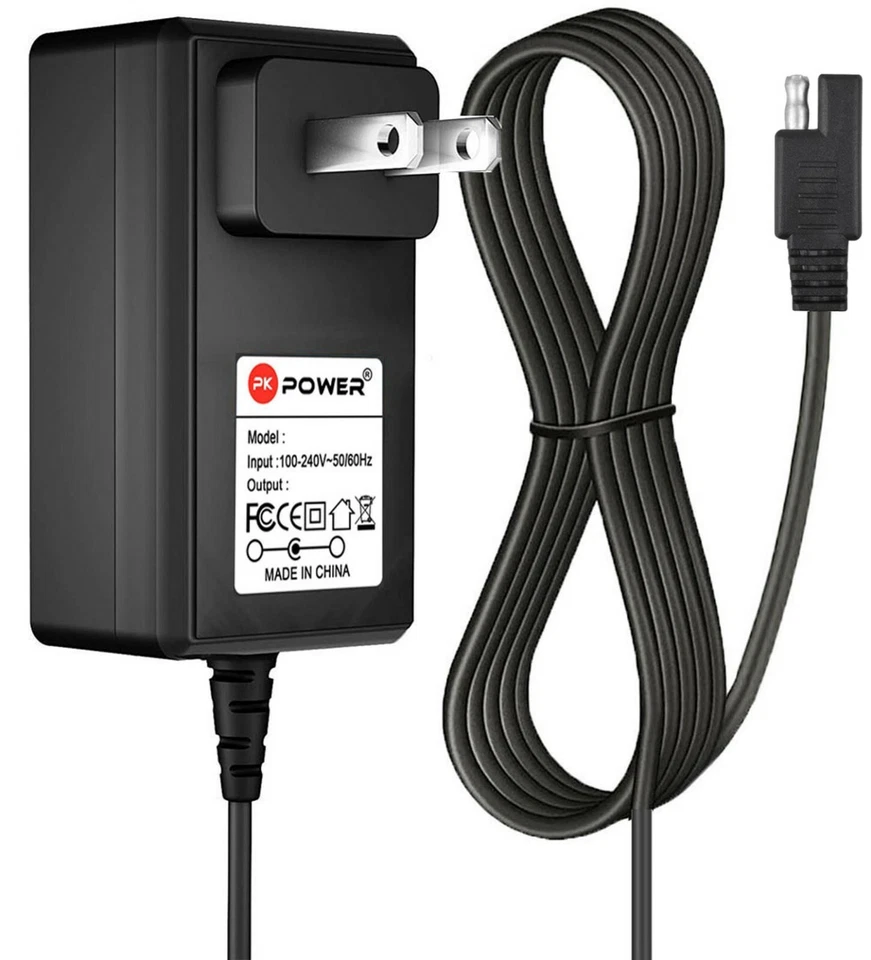 Cargador Pkpower B 6V para Kid Trax Teenage Mutant Ninja Turtles Quad KT1234WM Foto 1 de 4