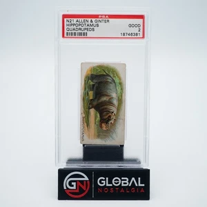 Hippopotamus N21 Allen & Ginterr Quadrupeds PSA 2 - Picture 1 of 2