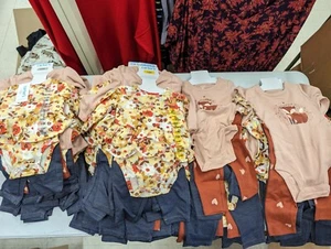 Carters 4 Pc Baby Girl Fall Floral/Fox Pants One piece Shirts Longsleeve SW1 - Picture 1 of 11