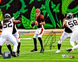 JOE BURROW AUTOGRAPHED 8X10 PHOTO CINCINNATI BENGALS FANATICS HOLO STOCK #214042 - Picture 1 of 2