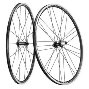 Campagnolo Paio Wheels Strada Calima (SHIMANO OR CAMPAGNOLO REQUEST BODICE) - Picture 1 of 1