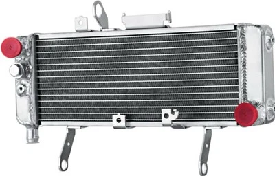Radiador de aluminio para motocicleta Suzuki SV650 SV650A 2003-2007 #17710-17G30 Foto 1 de 4