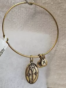 ALEX & ANI Gold "Key To Life " ๐๐ Charm Bangle Bracelet ๐ - Picture 1 of 14