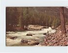 Carte postale McDonald Creek Glacier National Park Montana États-Unis