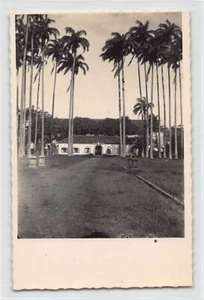 Guyane - CAYENNE - Allée de l'Hôpital Général - Ed. inconnu - Picture 1 of 2
