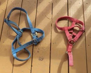 2 Nylon Halters for Horses Donkeys Mules Rodeo Stable 4-H FFA Equine Equestrian - Picture 1 of 4