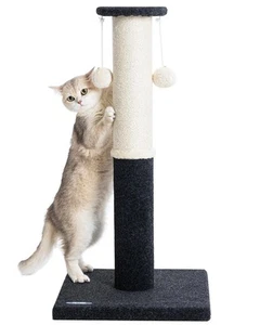 34-Inch Tall Cat Scratching Post for Indoor Cats, Large Carpet Scratch Post, ... - Picture 1 of 7