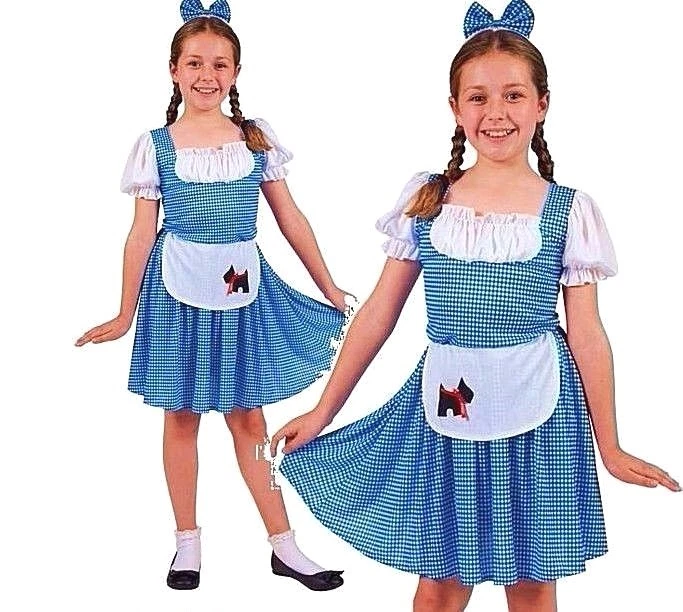 Girls COUNTRY GIRL Dorothy Oz Wizard Film Fancy Dress Costume Child Book Week - Image 1 of 1