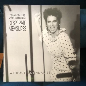 Gwynne Winsberg Desperate Measures ~ “Without Boundaries” 12” - Picture 1 of 7