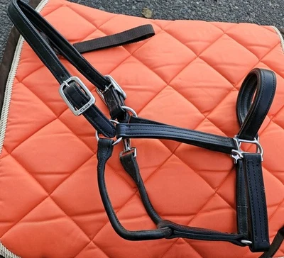 Halter de doma Walsh negro - caballo grande Foto 1 de 4