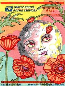 Pegatina de arte callejero graffiti dibujada a mano única luna con amapolas cara colorida 4x5,5 - Imagen 1 de 1