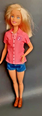 Muñeca Mattel Barbie 2016 carrera rescate animal centro FCP78 Foto 1 de 3