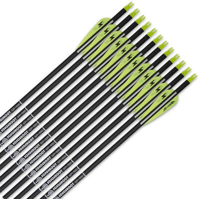 12Pcs 30 Inch Carbon Arrows Spine 500 Compound Recurve bow Archery  Hunting - Image 1 of 4