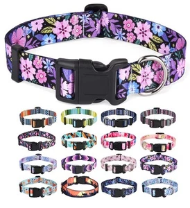 Hundehalsband für mittelgroße Hunde, süßes Haustierhalsband für kleine mittelgroße Hunde, mit - Bild 1 von 5