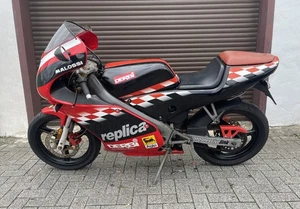 Derbi GPR 50 - Schaltmoped - RS Rennsport Replica - 50ccm 2 Takt - Bild 1 von 21