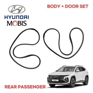 HYUNDAI TUCSON NX4 DOOR WEATHER STRIP SEALS REAR PASSENGER 82120N9000 82140N9000 - Picture 1 of 3