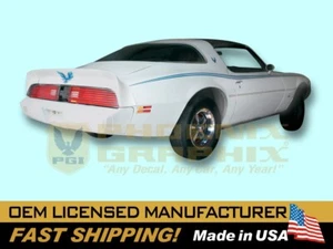 1979 1980 1981 Pontiac Firebird Esprit Decals Birds Racing Stripes Graphics Kit - Picture 1 of 1