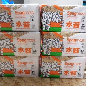 Sphagnum Moos Kinderzimmer Orchideenpflanze Neuseeland besgrow lange Faser Premium 6 Stck. - Bild 1 von 16