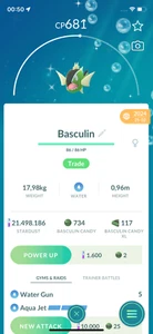 ✨Pokemon | SHINY White, Blue & Red Striped Basculin | 20k or 80k Are Fine✨ - Afbeelding 1 van 14