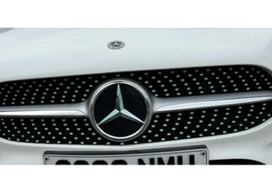 Mercedes Benz A Class W177 Gloss Petronas Blue/green Decals For Diamond Grille - Picture 1 of 3