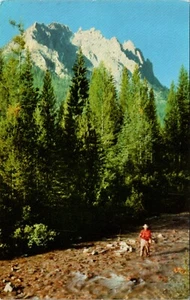 Postal de aceite Fishing Redfish Creek Idaho Union - Imagen 1 de 2