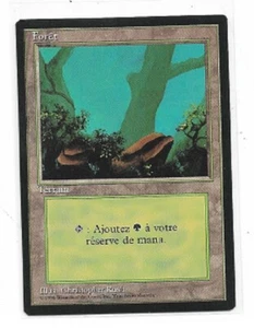 MTG magic cards 1x Forest (version A) - French Revised FBB Foreign Black Bordere - Picture 1 of 1