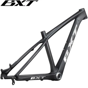 BXT Voll Kohlefaser Mountainbike Rahmen aus Carbon Kids MTB Bike Frame 14 Inch - Bild 1 von 18