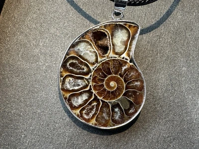 Collar colgante de plata de piedras preciosas fósiles de amonita genuino natural de colección Foto 1 de 4