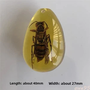 4cm Resin Insect Amber Hornet Specimen Beautiful Fossil Pendant Polishing - Picture 1 of 1