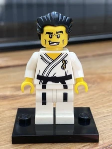 LEGO Minifig series 2 minifigure, Karate Master, COL030 - Picture 1 of 1