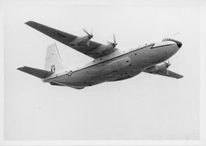 SHORT BELFAST - Original Flugzeug Foto - Bild 1 von 2