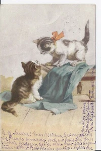 *1023 Katzen Chats Cats color litho - Picture 1 of 2
