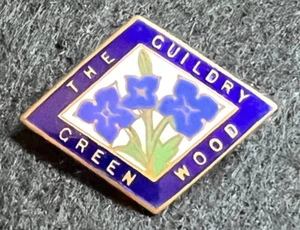 THE GUILDRY GREEN WOOD (GIRLS BRIGADE) VINTAGE FATTORINI PIN BADGE - Picture 1 of 4