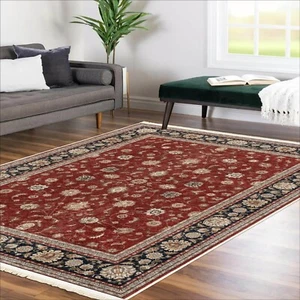 Alfa Rich 3x5 Runner Rugs, Ultra-Thin, Oriental Blue Red Rug, Non-Slip, Washable - Picture 1 of 7