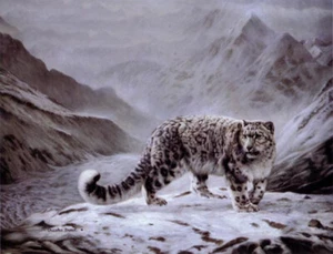 Fleeting Encounter by Charles Frace Snow Leopard Cat Wildlife Paper Art Print - Picture 1 of 2