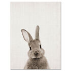 Bunny Rabbit Butt Tail Canvas Poster Woodland Animal Nursery Art Print Decor