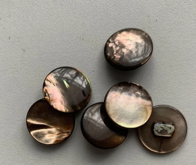 Perlmuttknöpfe: 6 braune, schillernde Knöpfe, 14mm - Bild 1 von 2