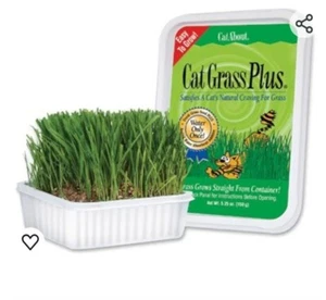 Cat-A'Bout Katzengras für Indoor Katzen, 5,25 Oz, Katzengras Anzuchtset für alle Katzen - Bild 1 von 6