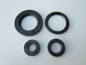 BSA A50 A65 OIL SEAL KIT SM-A65E 1962-66 LIGHTNING THUNDERBOLT STAR ROCKET HORNE - Picture 1 of 1