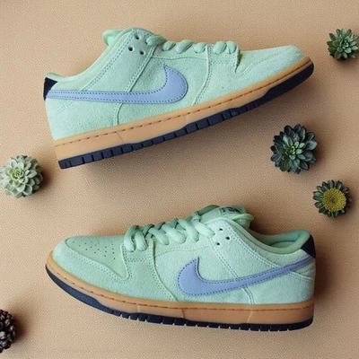 Nike SB Dunk Low Pro (Verdugo Mountain) Zapatos / Teniente Cal líquida (HQ1626-300) / Foto 1 de 4