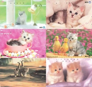 Cat cats NTT Japanese Phone Cards 1980s - 1990s Kawaii photo Used Set of 6 - Picture 1 of 15