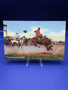Vintage "F. Stevenson Leaving Sure Shot" Post Card! Free Shipping! - Picture 1 of 11