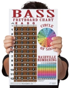 LAMINATED 4 String Bass Fretboard Chart Poster Nashville Numbering Theory - Picture 1 of 7