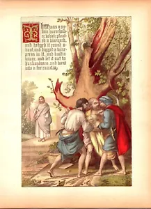 Grabado Ilustración Obra de Arte Jesús Viña Constructor de Casas Prensa de Vino Biblia 1891 - Imagen 1 de 1